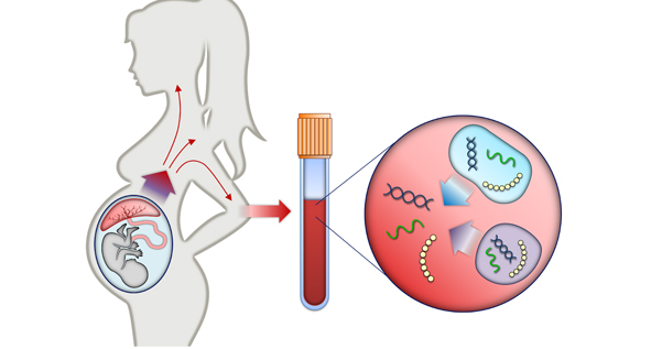 Non Invasive Prenatal Testing