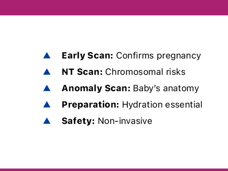 fetal scans during pregnancy